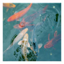 Recherche de étang poissons japonais posters Nishikigoi