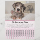 Recherche de chiot prospectus Doggenhaus