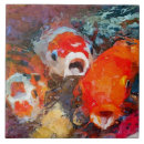 Recherche de koi carreaux Étang