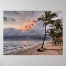 Recherche de les îles canaries posters Tropical