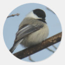 Recherche de mésange autocollants Pour tous