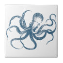 Recherche de céphalopode carreaux Océan