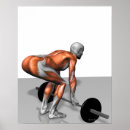 Recherche de muscle humain posters Médical