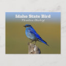 Recherche de oiseau chanteur cartes postales Printemps