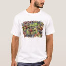 Recherche de macintosh Fruit