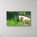 Recherche de chevaux impressions sur toile Vert