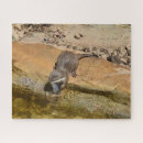 Recherche de otter puzzles Faune