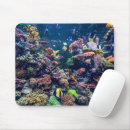 Recherche de plages tropicales tapis souris Maldives