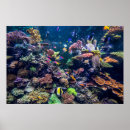 Recherche de paysage sous marin posters Australie