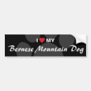 Recherche de bernese voiture autocollants Chien de montagne bernese