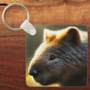 Recherche de wombat porteclés Faune