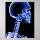 Recherche de imagerie médicale posters Partie du corps humain