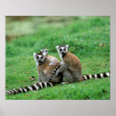 Recherche de madagascar art Afrique