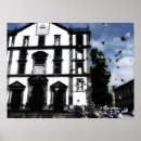 Recherche de colombes posters Oiseau