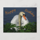 Recherche de beau cygne vœux cartes Pour tous