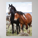 Recherche de troupeau de chevaux art Ferme