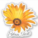 Recherche de pétales autocollants Printemps