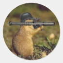 Recherche de bazooka Fusée