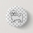 Recherche de coton de tulear accessoires Chien