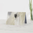 Recherche de oeil de cheval vœux cartes Blanc