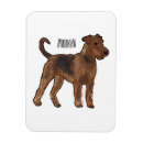 Recherche de airedales magnets Pour tous