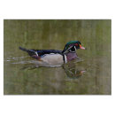 Recherche de air planches à découper Oiseau