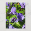 Recherche de hybride cartes postales Floral
