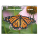 Recherche de machaon photographie Insecte