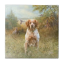Recherche de chien carreaux Chien de chasse