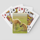 Recherche de se reposer jeux de cartes Photographie