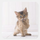 Recherche de lécher autocollants Animal