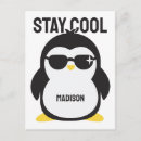 Recherche de de pingouin cartes postales Animaux