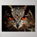 Recherche de hibou moderne posters Tendance