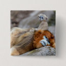 Recherche de nez badges Faune