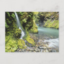 Recherche de galets cartes postales Pittoresque