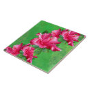 Recherche de fleur de leu Rose