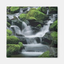 Recherche de duc magnets Parc