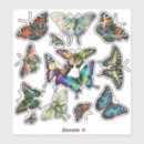 Recherche de assortiment autocollants Papillon