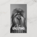 Recherche de grooming cartes visite Dresseur de chien