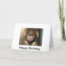 Recherche de de babouin vœux cartes Mignon