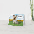 Recherche de yorkies vœux cartes Chien yorkie