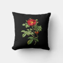 Recherche de damascena de rosa Botanique