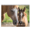 Recherche de horse calendriers Chevaux