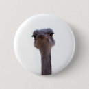 Recherche de autruche badges Animal