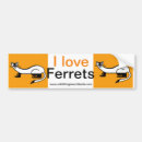 Recherche de furet maison deco Faune