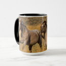 Recherche de troupeau de chevaux tasses Ranch