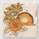Recherche de surf bar Hawaii