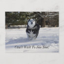 Recherche de course à pied cartes postales Photographie