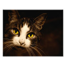 Recherche de fascination posters Animaux