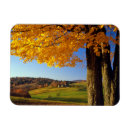 Recherche de agricole magnets Animal